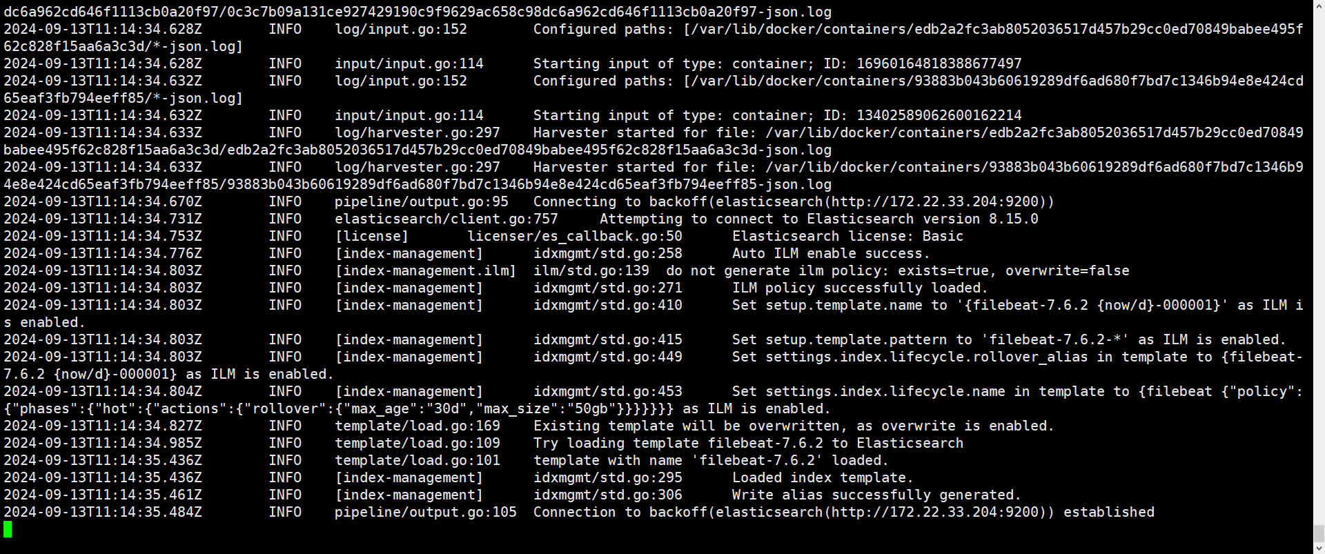 image-20240913191451112