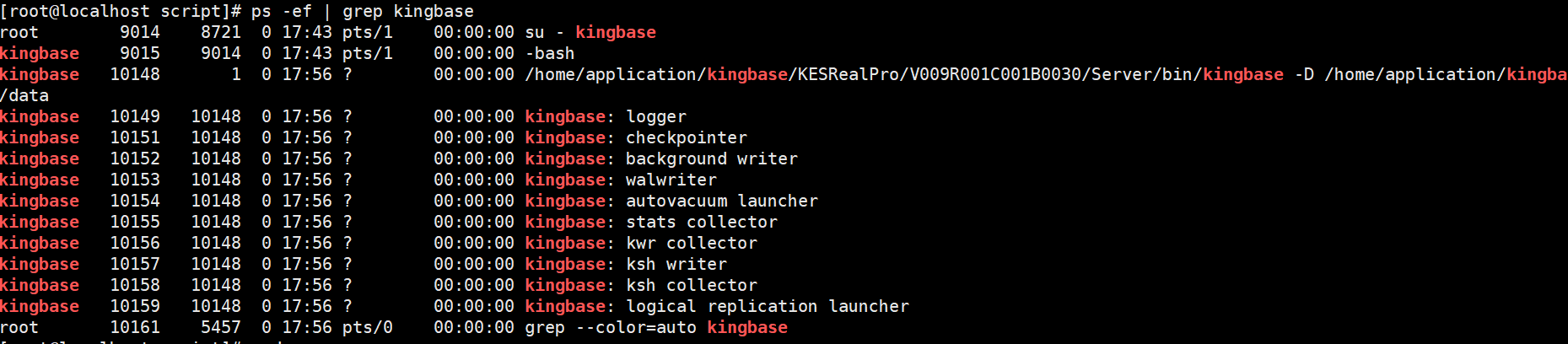 image-20241024180126296