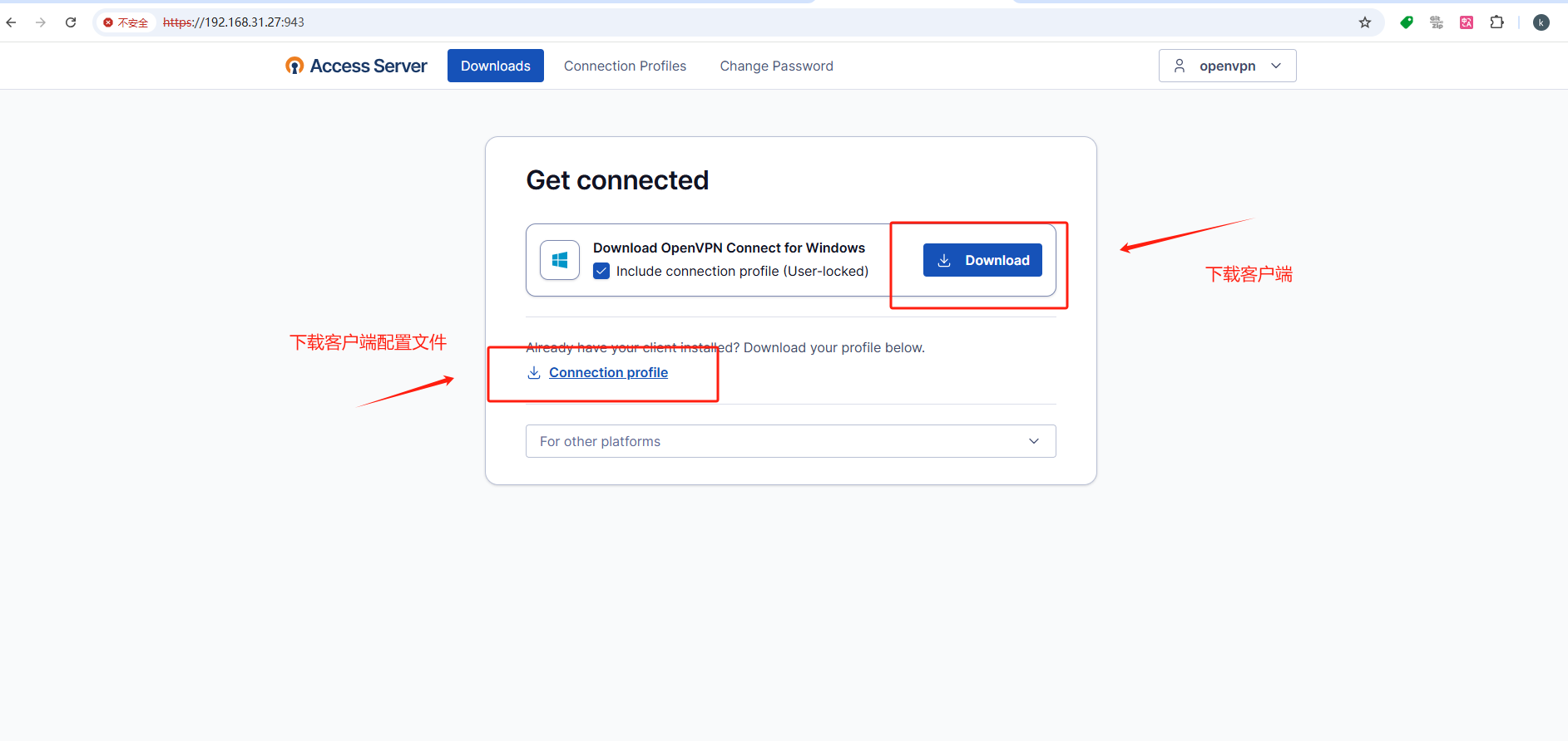 image-20250205143356156