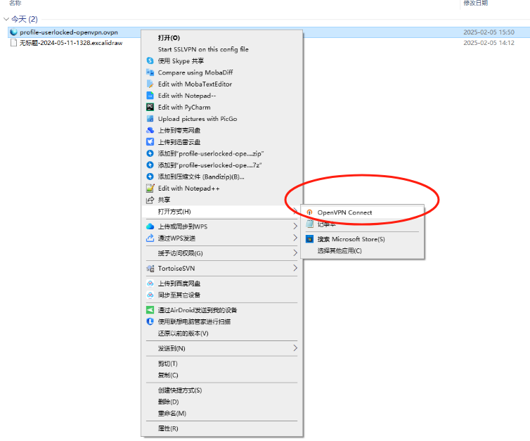 image-20250205155304521