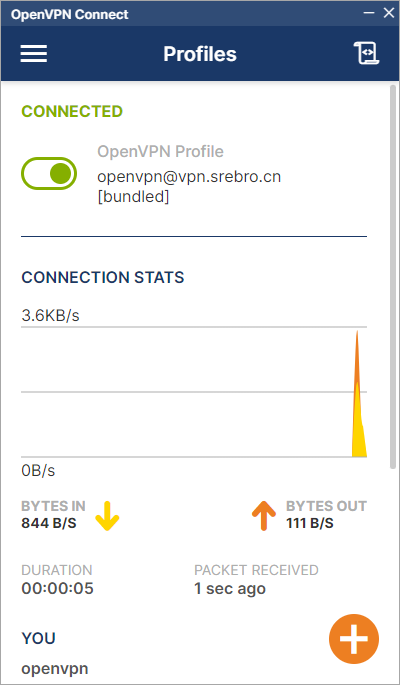 image-20250205155331658