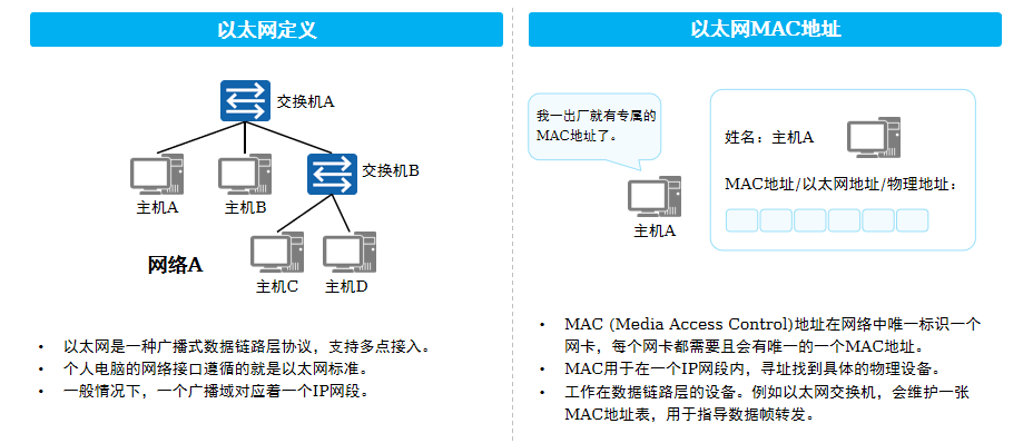 image-20250218141219905