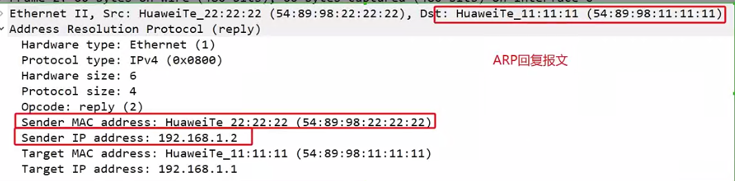 image-20250218143357696