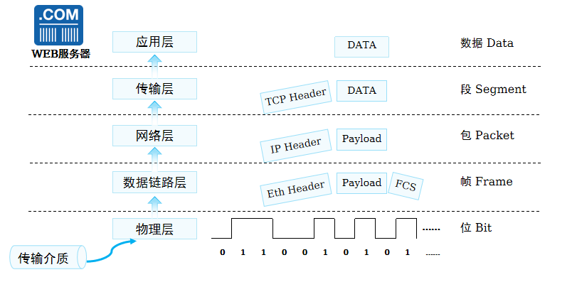 image-20250218145722391