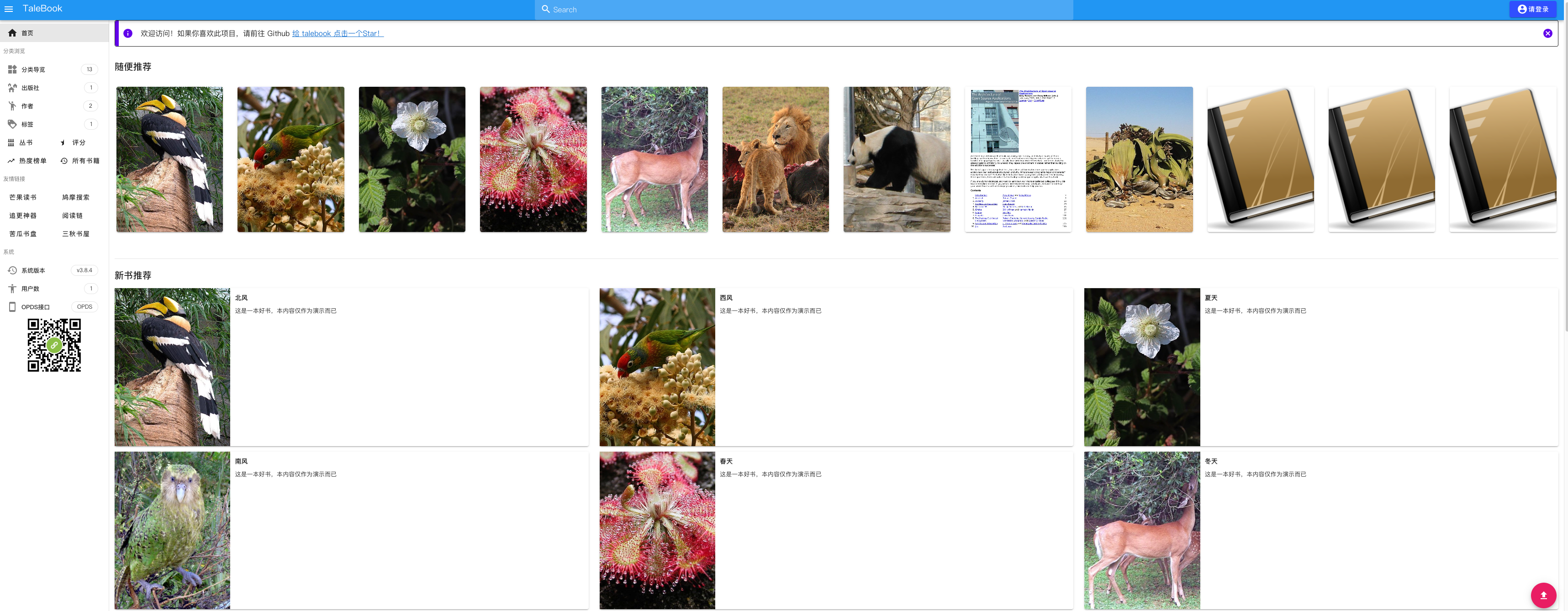 image-20250505223232555