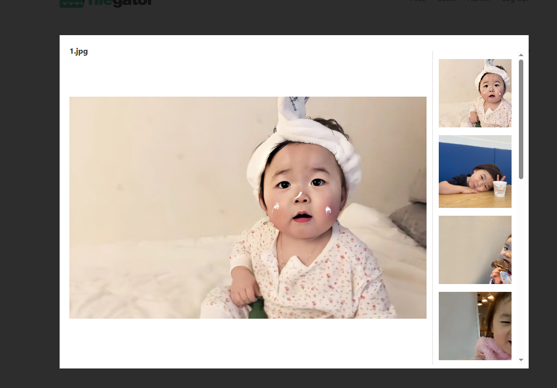 image-20250526175526471