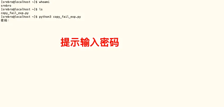 image-20260506135636069